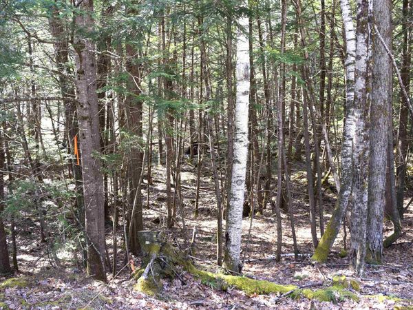 Lot 185 Hanover Drive, Unit 185, Haverhill, NH 03765