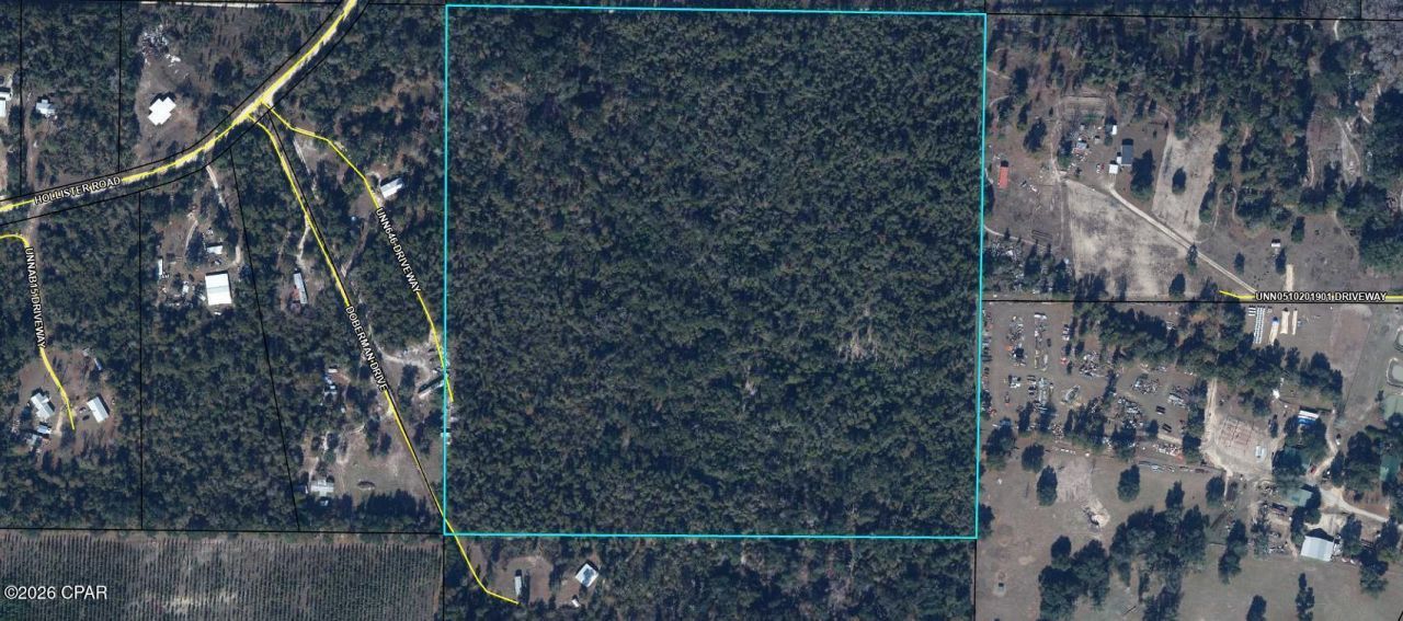 Tbd Doberman Drive, Grand Ridge, FL 32442 Main Photo