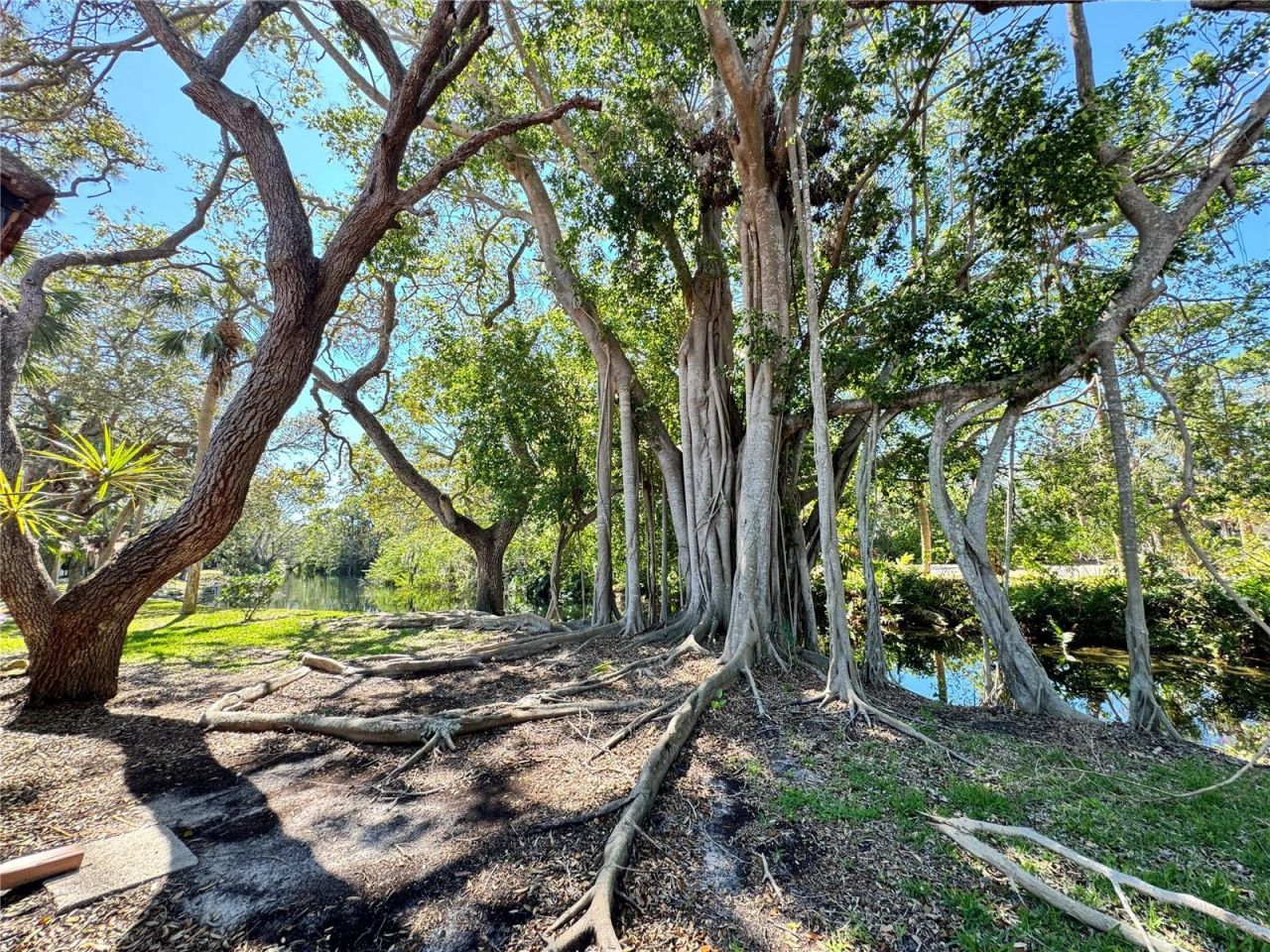 6403 Meadowlark Lane , Bradenton, FL 34210 Photo