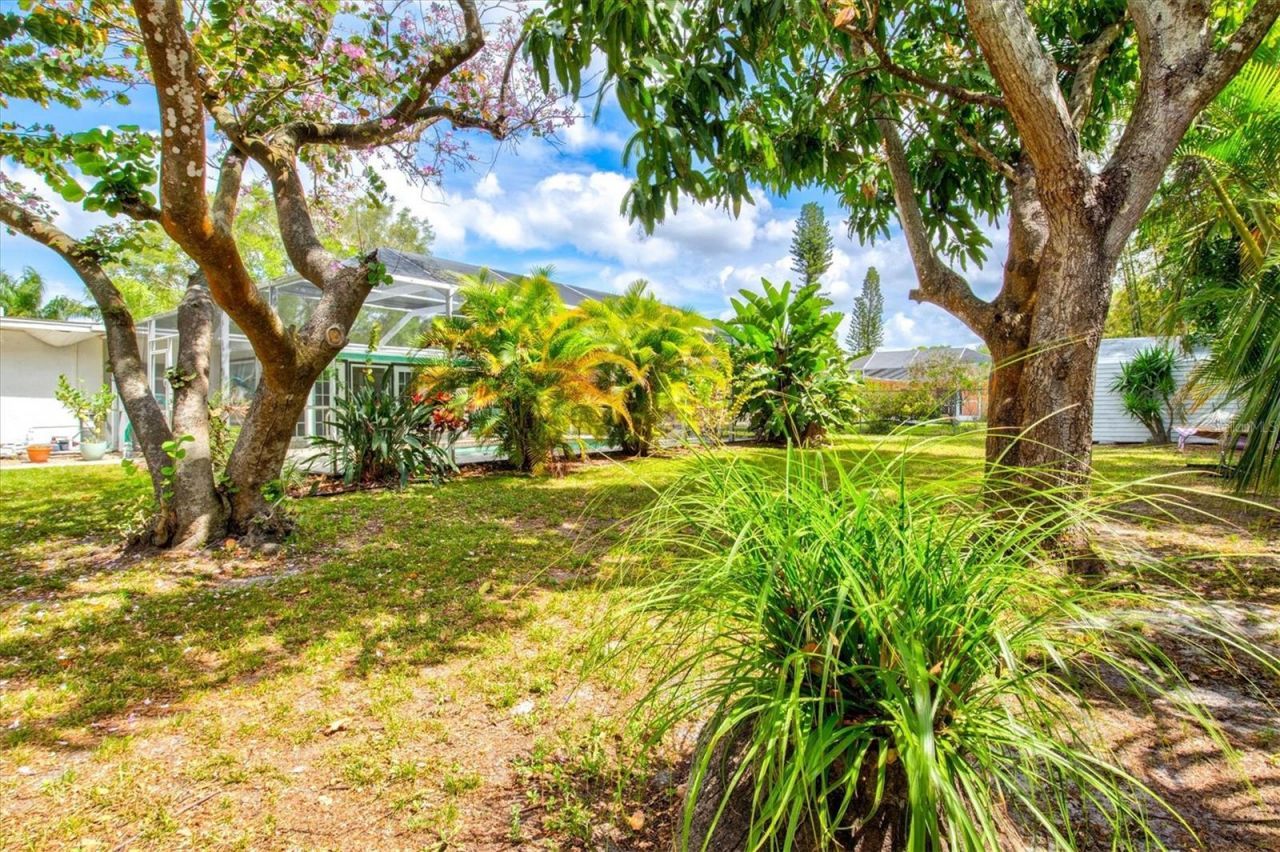 214 Gaines Avenue , Sarasota, FL 34243 Photo