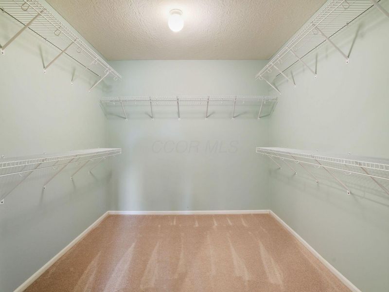 466 Charles Spring Drive, Powell, OH 43065 Photo 22