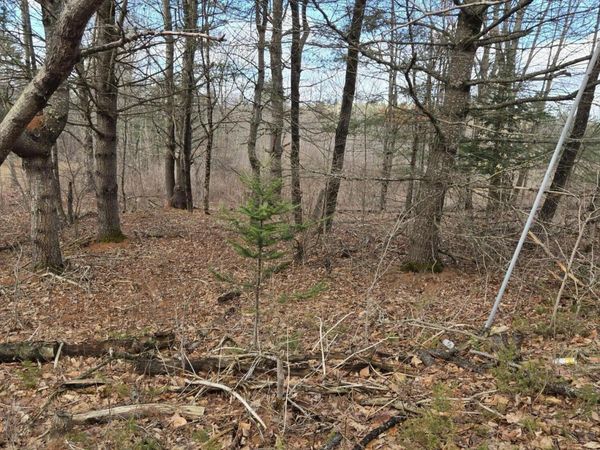 Lot 1 Maple Street , Farmingdale, ME 04344