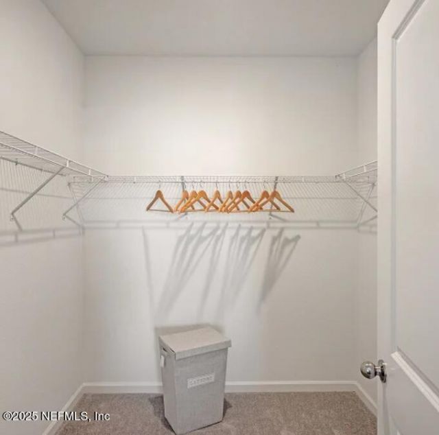 2660 Field Daisy Lane, Green Cove Springs, FL 32043 Photo