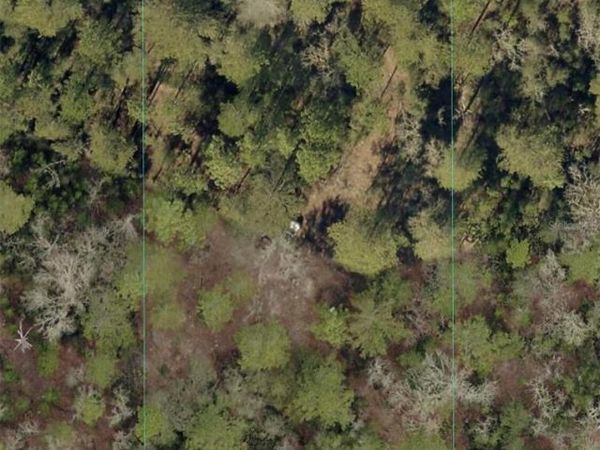 SW 156TH PLACE , DUNNELLON, FL 34432