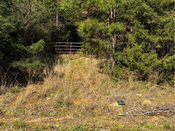 TBD White Oak , Mulberry, AR 72947