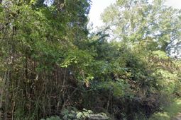 8448 Old Georgetown Road photo 4