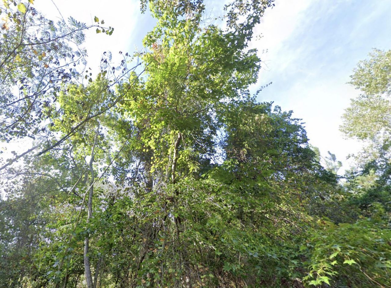 8448 Old Georgetown Road Photo 4