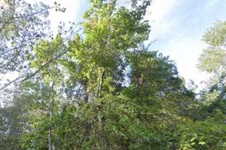 8448 Old Georgetown Road photo 4