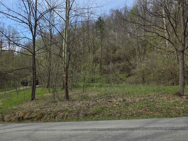 TBD Crooked Fork Road, Walkersville, WV 26447