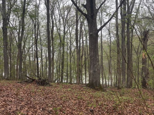 0 Waters Edge Lane , Bumpus Mills, TN 37028