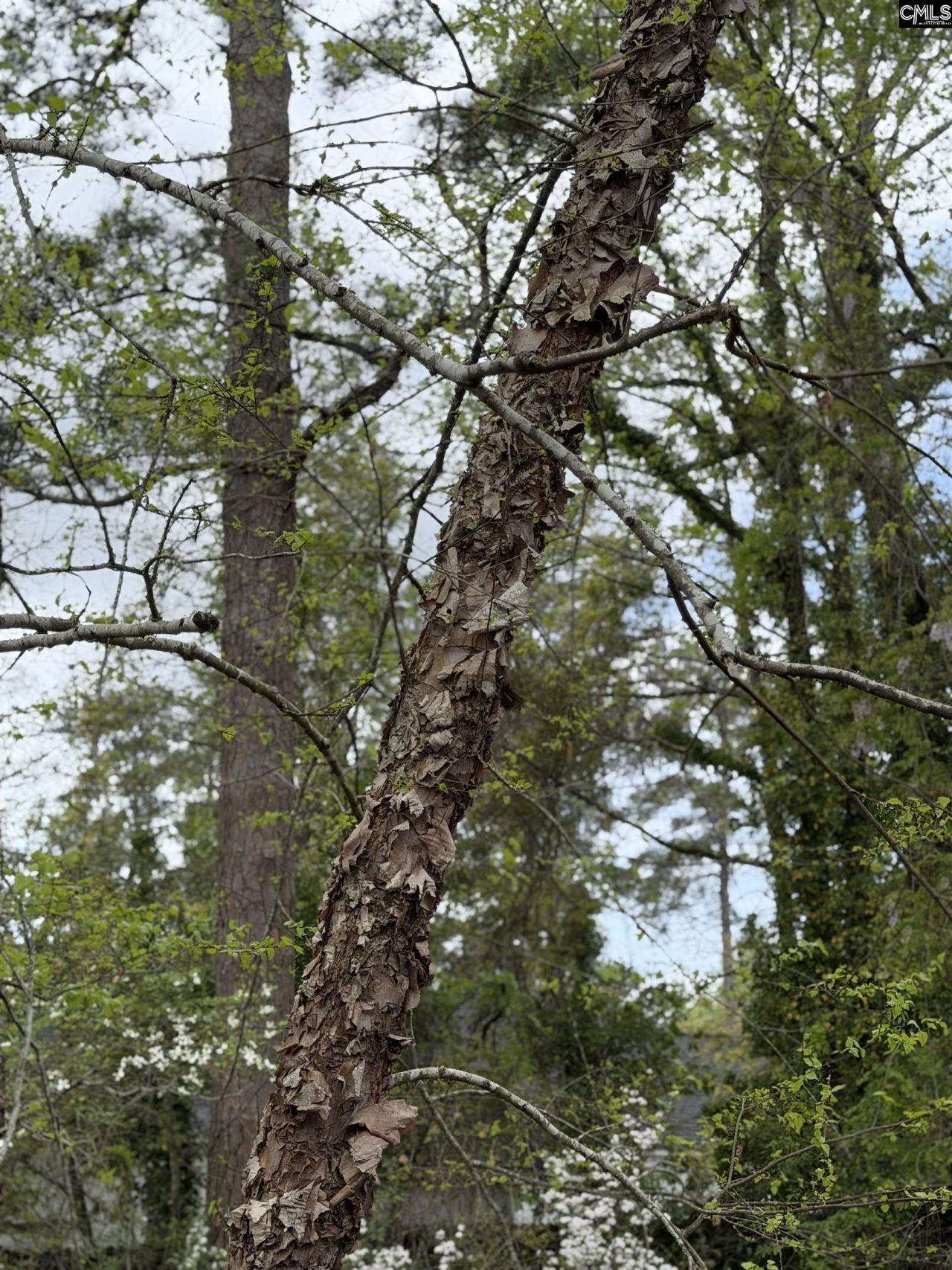 1705 Brook Drive  Photo 88