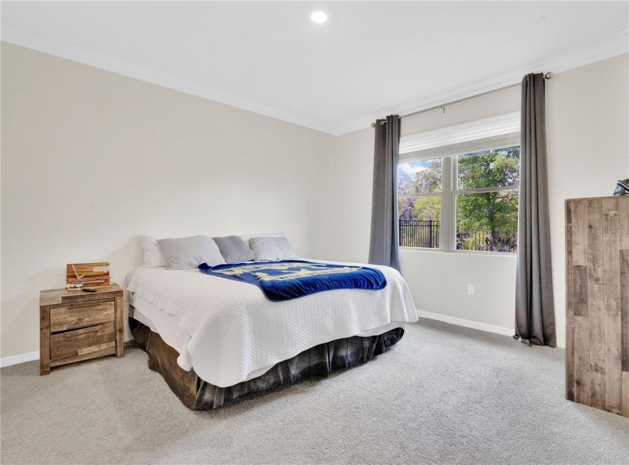 3449 Twin Flower Court , Clermont, FL 34714 Photo