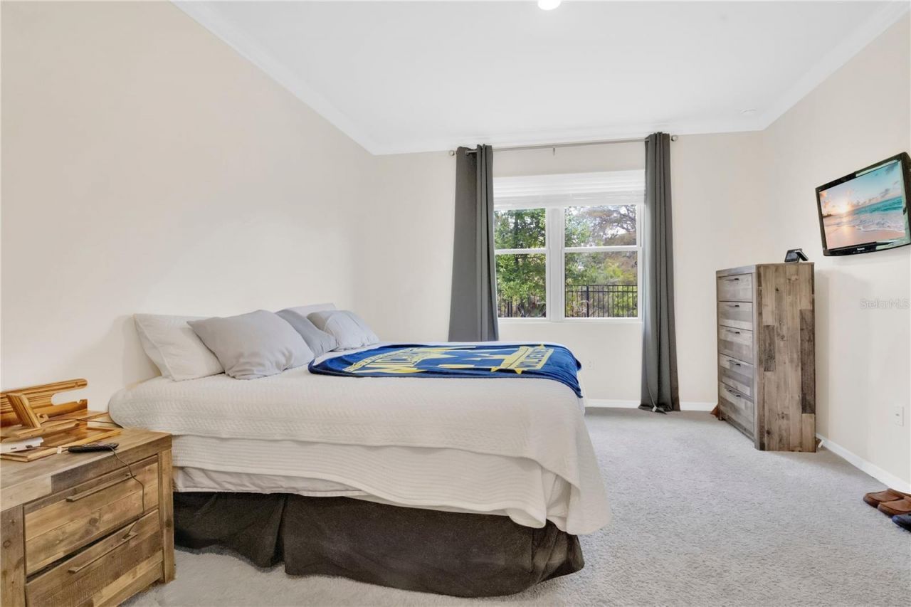 3449 Twin Flower Court , Clermont, FL 34714 Photo