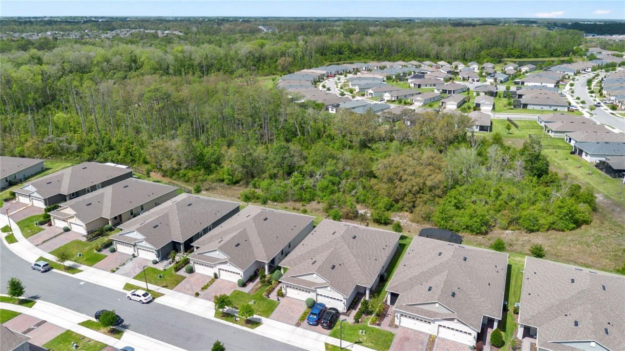 3449 Twin Flower Court , Clermont, FL 34714 Photo