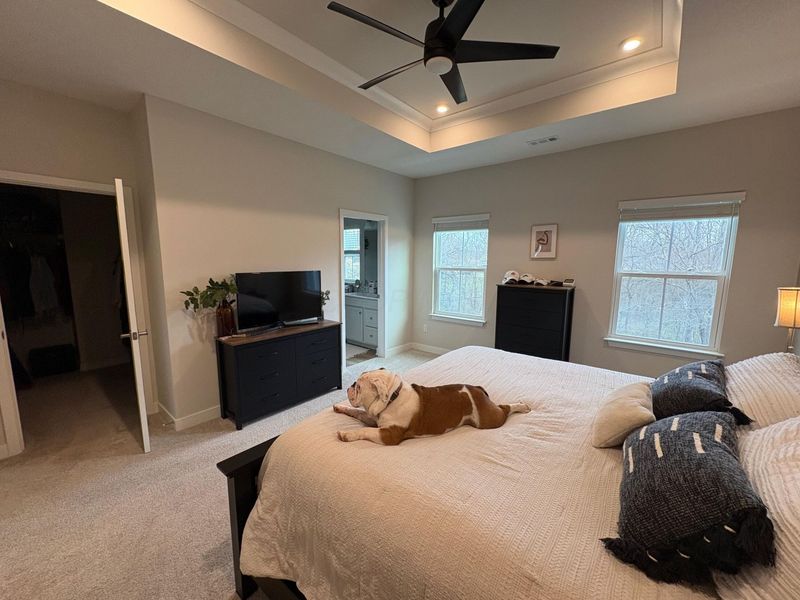 252 Via Corso, Delaware, OH 43015 Photo 42