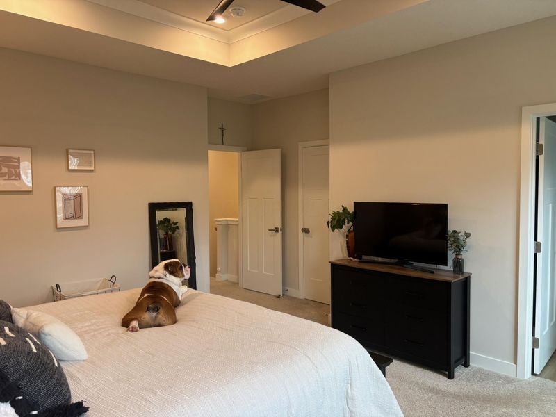 252 Via Corso, Delaware, OH 43015 Photo 43