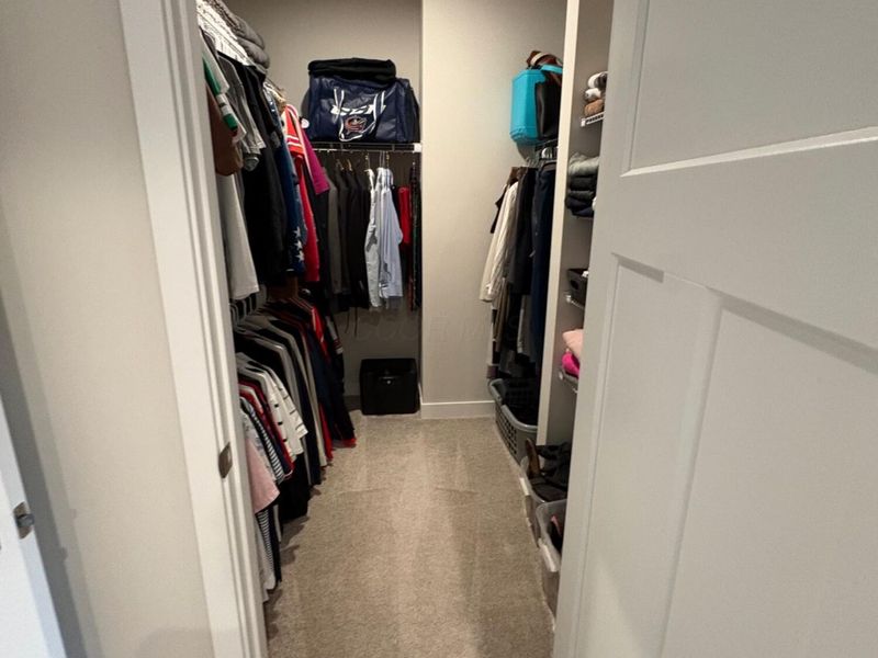 252 Via Corso, Delaware, OH 43015 Photo 49