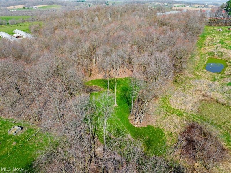 Nebraska Road, Dundee, OH 44624 Photo 1