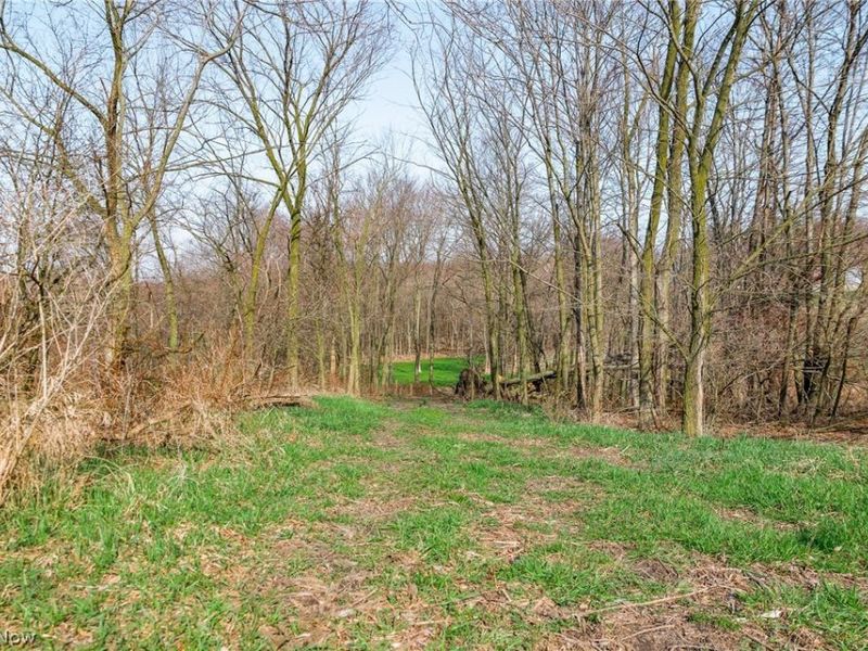 Nebraska Road, Dundee, OH 44624 Photo 10