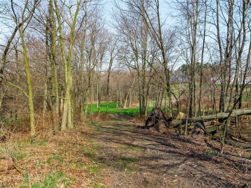 Nebraska Road, Dundee, OH 44624 Photo 11