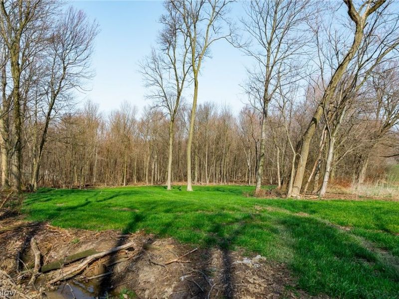 Nebraska Road, Dundee, OH 44624 Photo 12