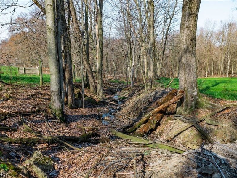 Nebraska Road, Dundee, OH 44624 Photo 14