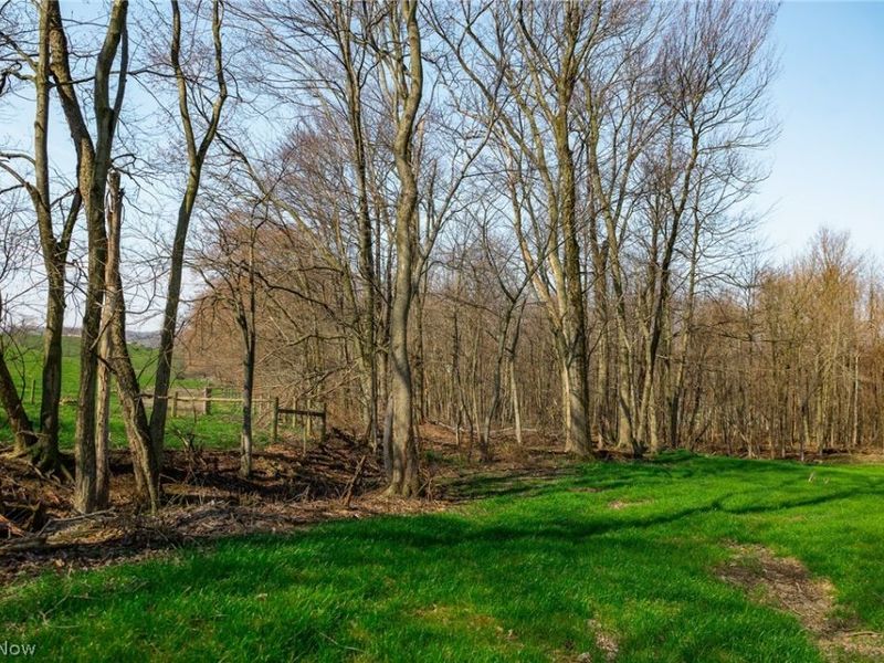 Nebraska Road, Dundee, OH 44624 Photo 15