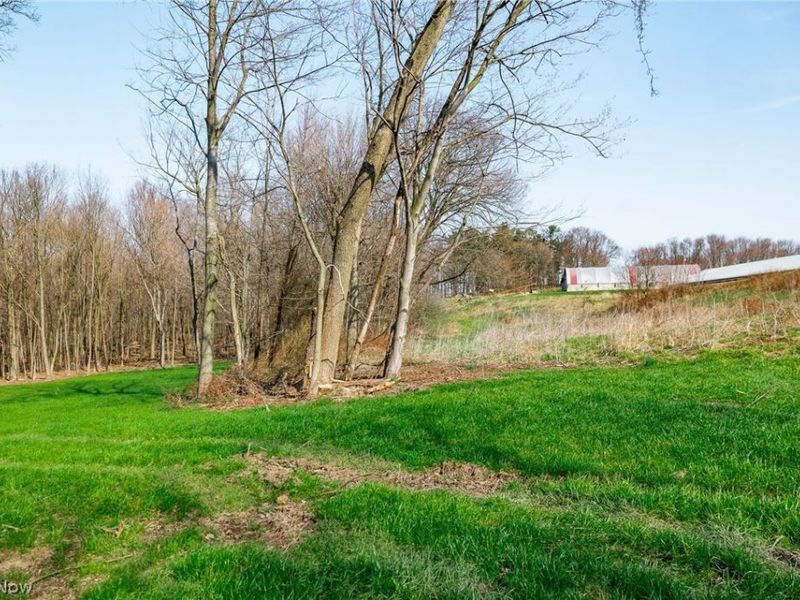 Nebraska Road, Dundee, OH 44624 Photo 16