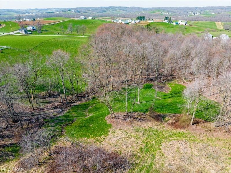 Nebraska Road, Dundee, OH 44624 Photo 2