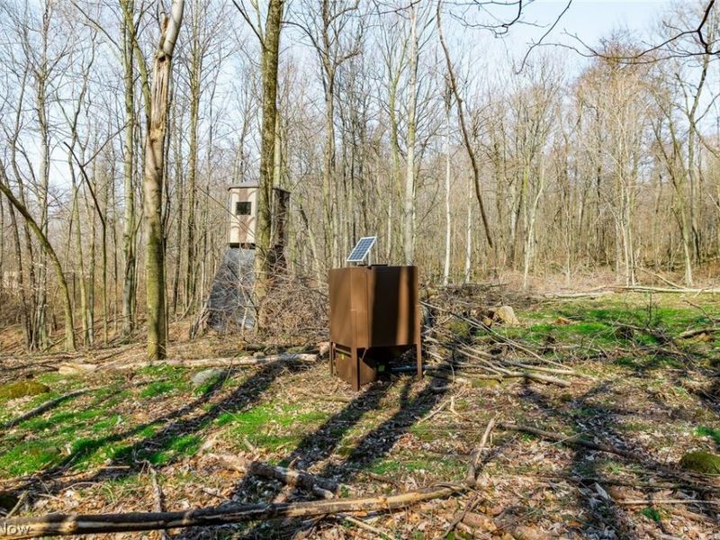 Nebraska Road, Dundee, OH 44624 Photo 20