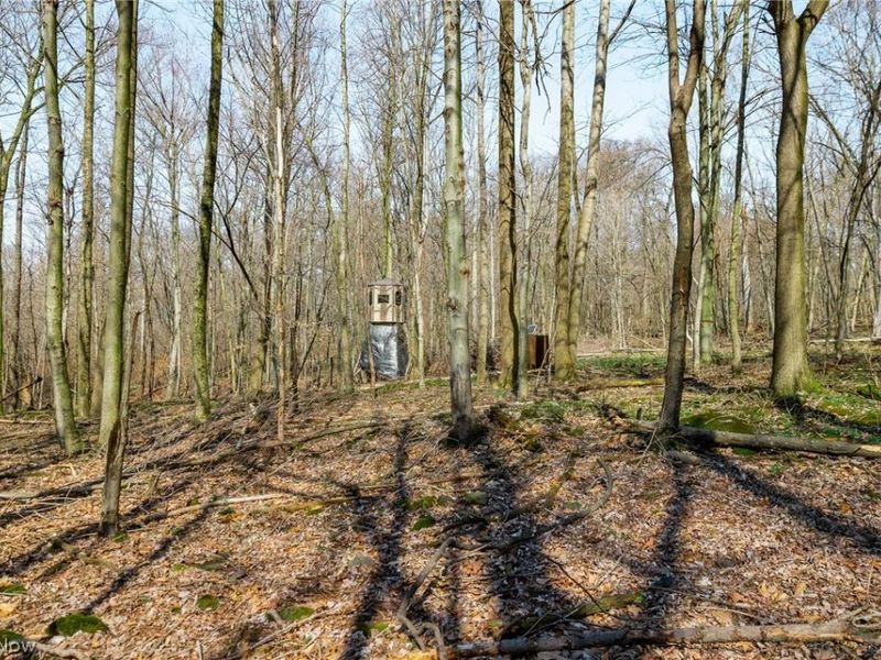 Nebraska Road, Dundee, OH 44624 Photo 22