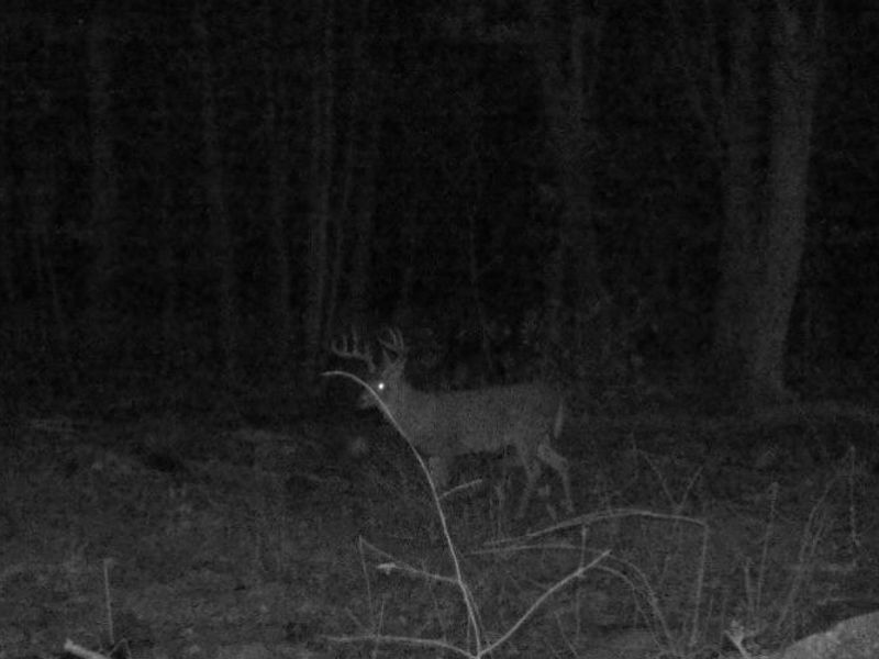 Nebraska Road, Dundee, OH 44624 Photo 24