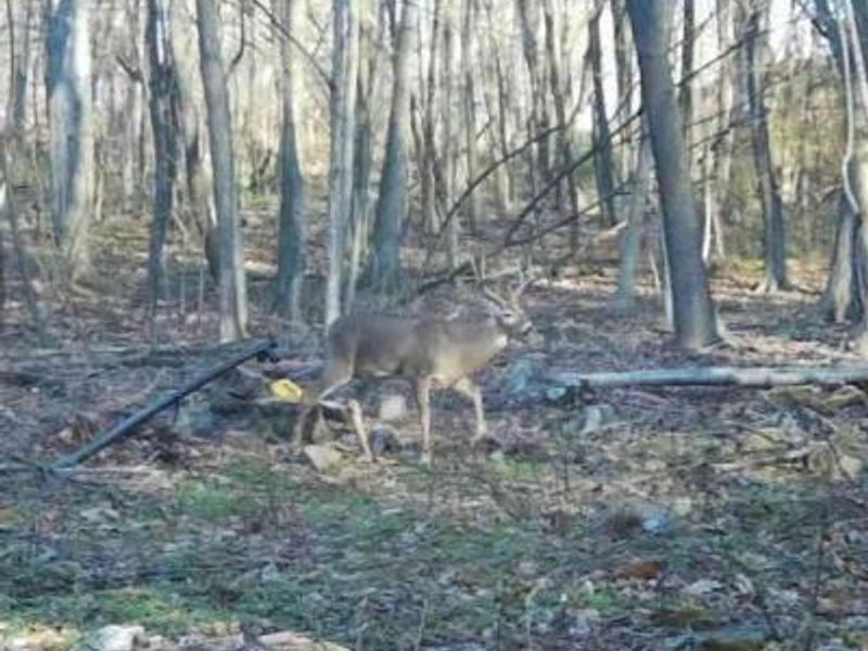 Nebraska Road, Dundee, OH 44624 Photo 25