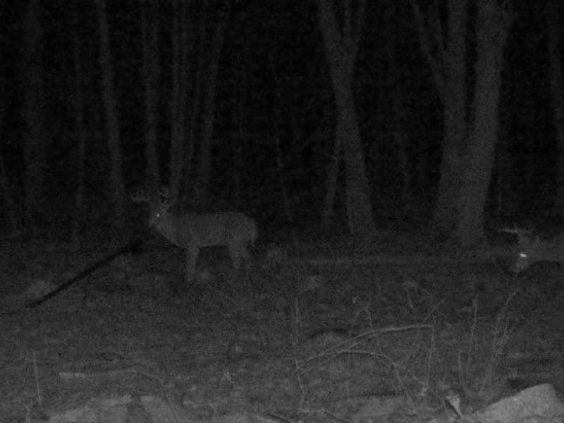 Nebraska Road, Dundee, OH 44624 Photo 26