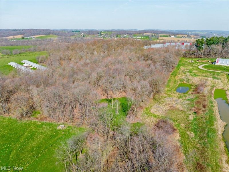 Nebraska Road, Dundee, OH 44624 Photo 28