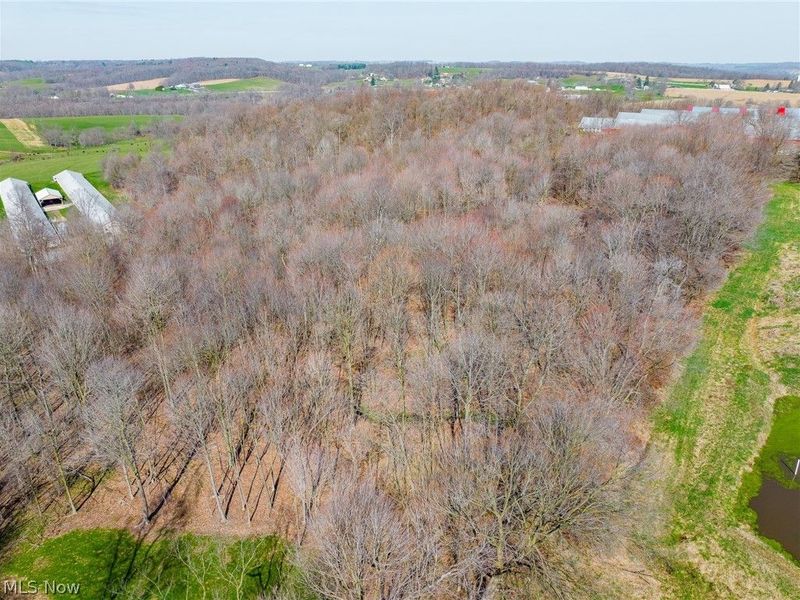 Nebraska Road, Dundee, OH 44624 Photo 29