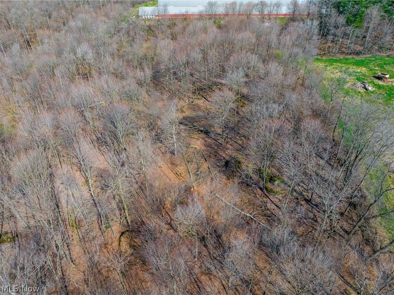 Nebraska Road, Dundee, OH 44624 Photo 30