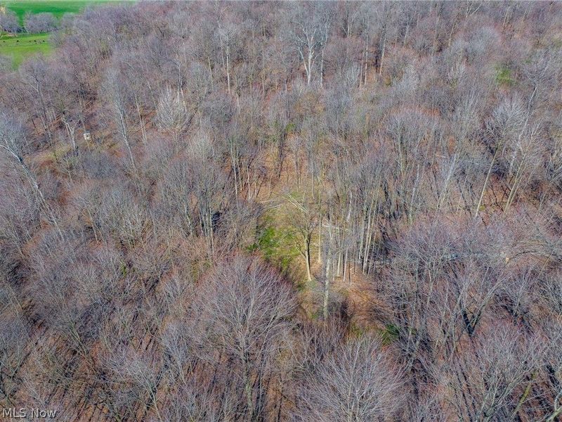 Nebraska Road, Dundee, OH 44624 Photo 31