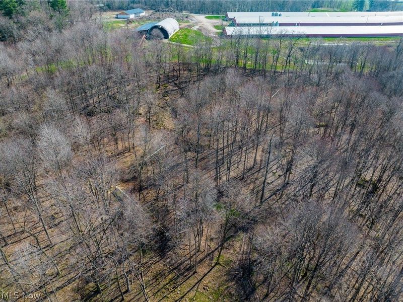 Nebraska Road, Dundee, OH 44624 Photo 32