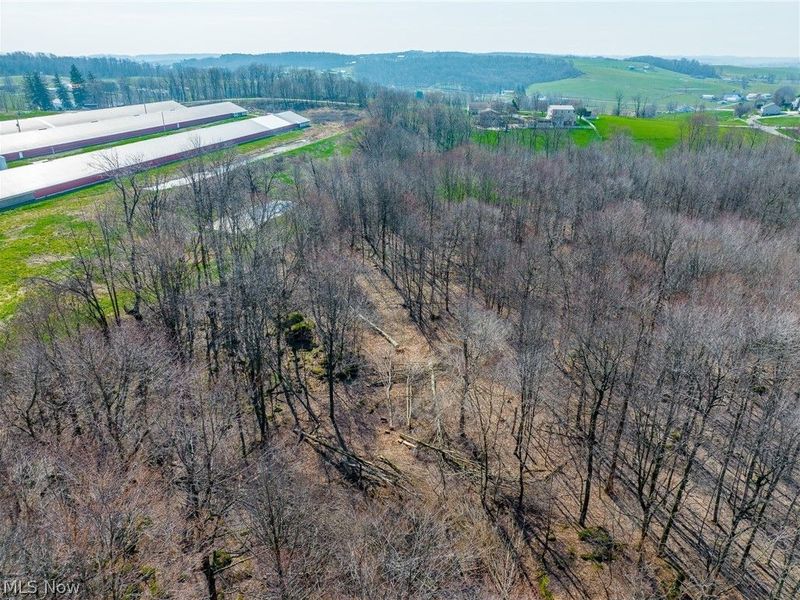 Nebraska Road, Dundee, OH 44624 Photo 34