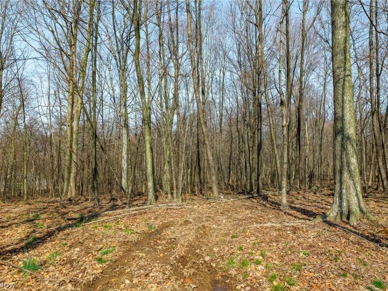 Nebraska Road, Dundee, OH 44624 Photo 36