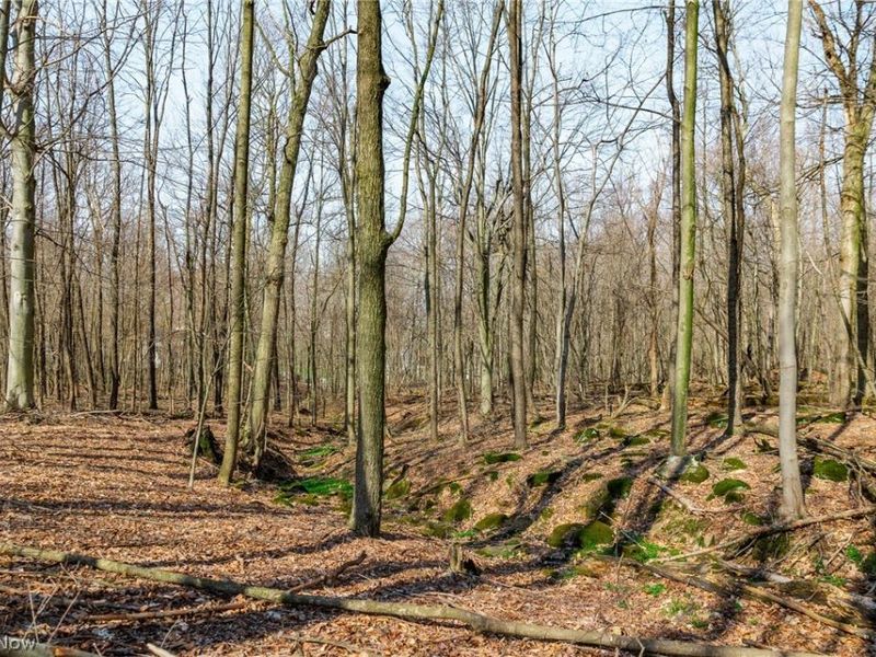 Nebraska Road, Dundee, OH 44624 Photo 37