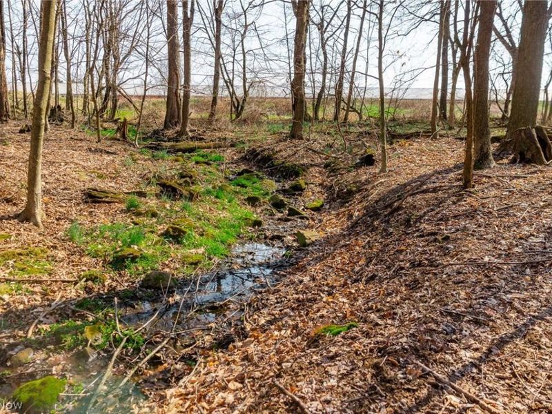 Nebraska Road, Dundee, OH 44624 Photo 38