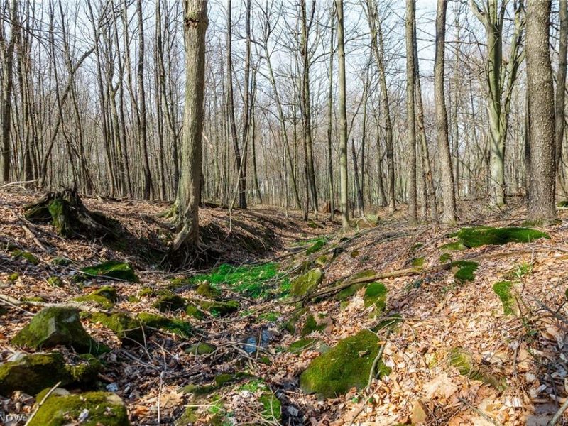 Nebraska Road, Dundee, OH 44624 Photo 39