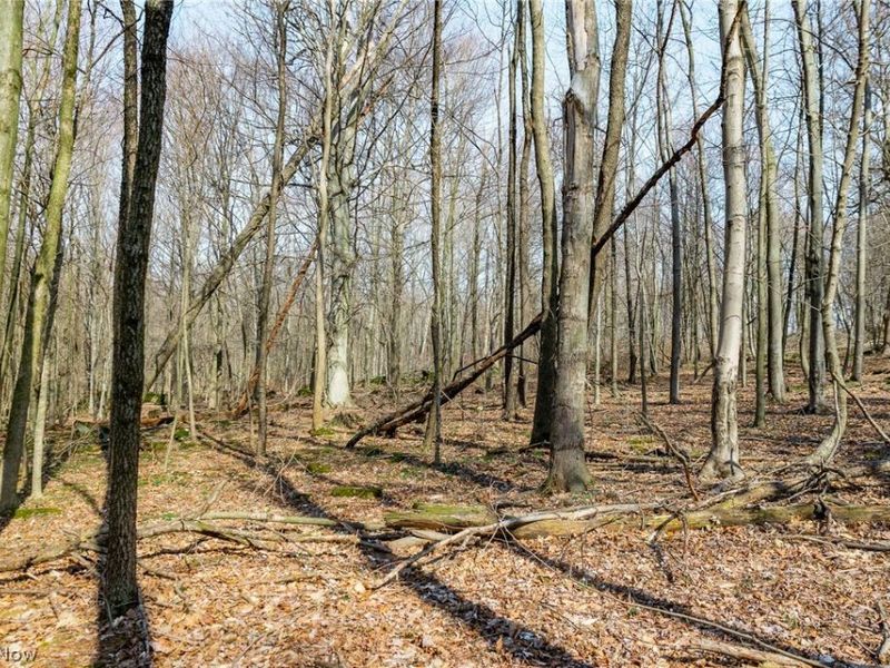 Nebraska Road, Dundee, OH 44624 Photo 41