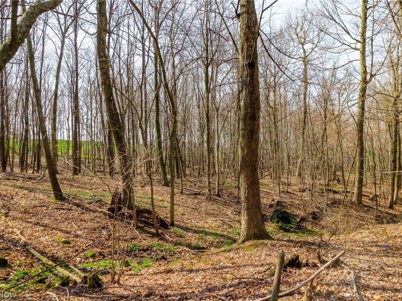 Nebraska Road, Dundee, OH 44624 Photo 42