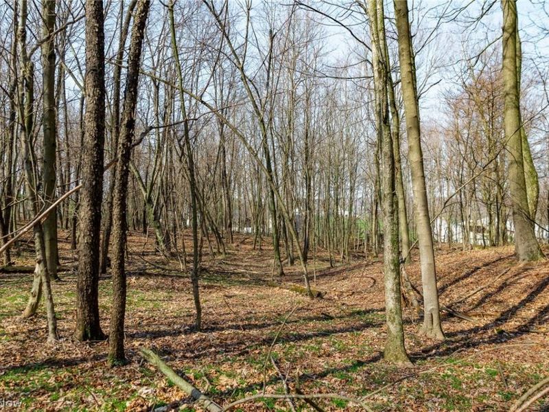 Nebraska Road, Dundee, OH 44624 Photo 43