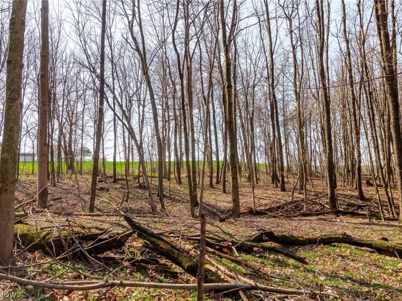 Nebraska Road, Dundee, OH 44624 Photo 44