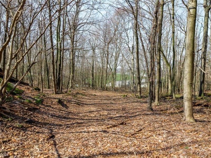 Nebraska Road, Dundee, OH 44624 Photo 45