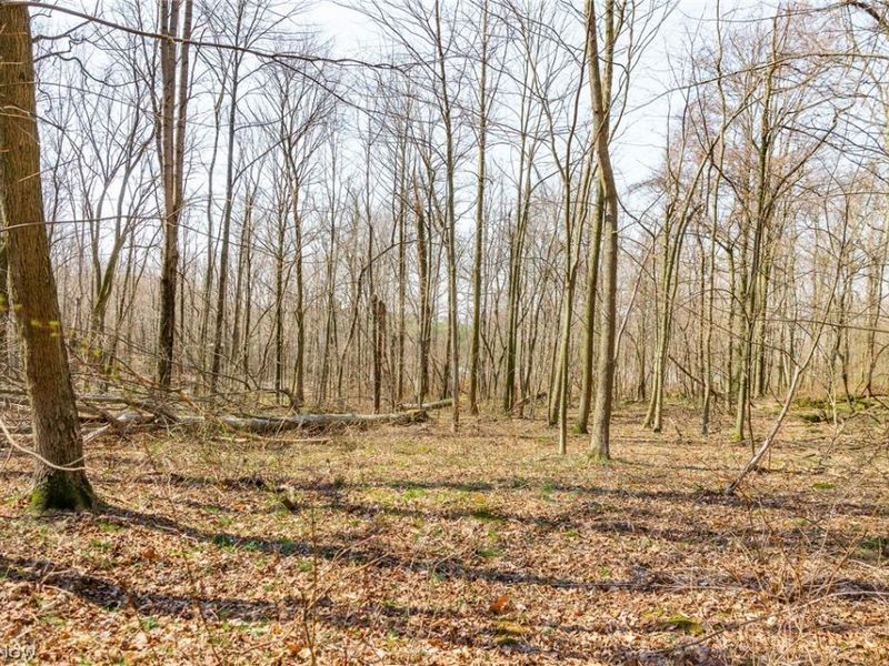 Nebraska Road, Dundee, OH 44624 Photo 46